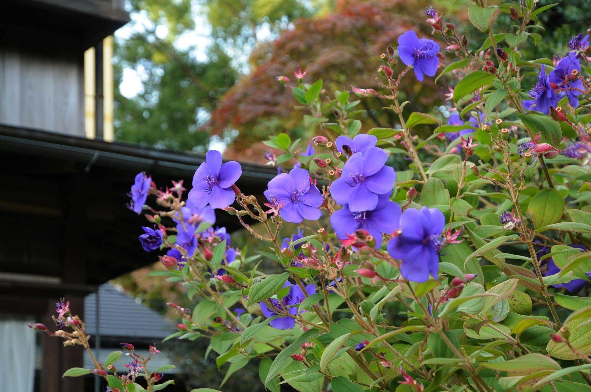Atami Hotel Paipuno Kemuri ภายนอก รูปภาพ